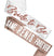 Rose Gold Glam Bride to Be & Sam Pen*s Rose Gold Sparkle Sash - Set of 2