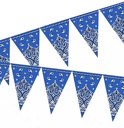 Blue paisley print pennant banner