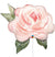 Watercolor Rose Floral Balloon - 36"