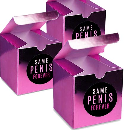 Same Pen*s Forever Metallic Hot Pink Mini Favor Box - Set of 3