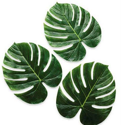 Large Leaves - Set of 12