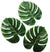 Large Tropical Leaves Set of 12