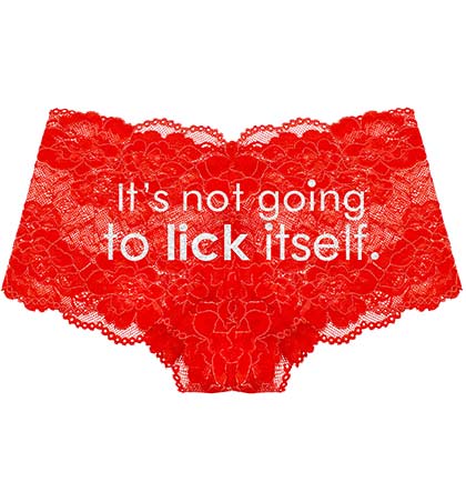 It&#39;s Not Going to Lick Itself Silver Glitter Red Lace Boyshort Panty