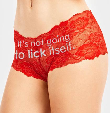 It's Not Going to Lick Itself Silver Glitter Red Lace Boyshort Panty