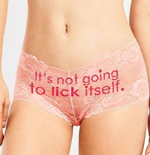 It's Not Going To Lick Itself Pink Glitter Lace Panty, Naughty Lingerie  Panties