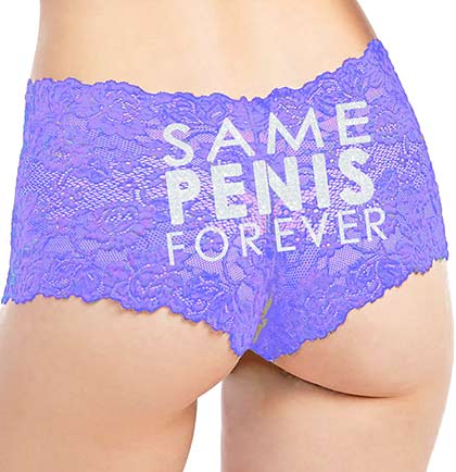 Same Pen*s Forever Bold Silver Lace Boyshort Panty
